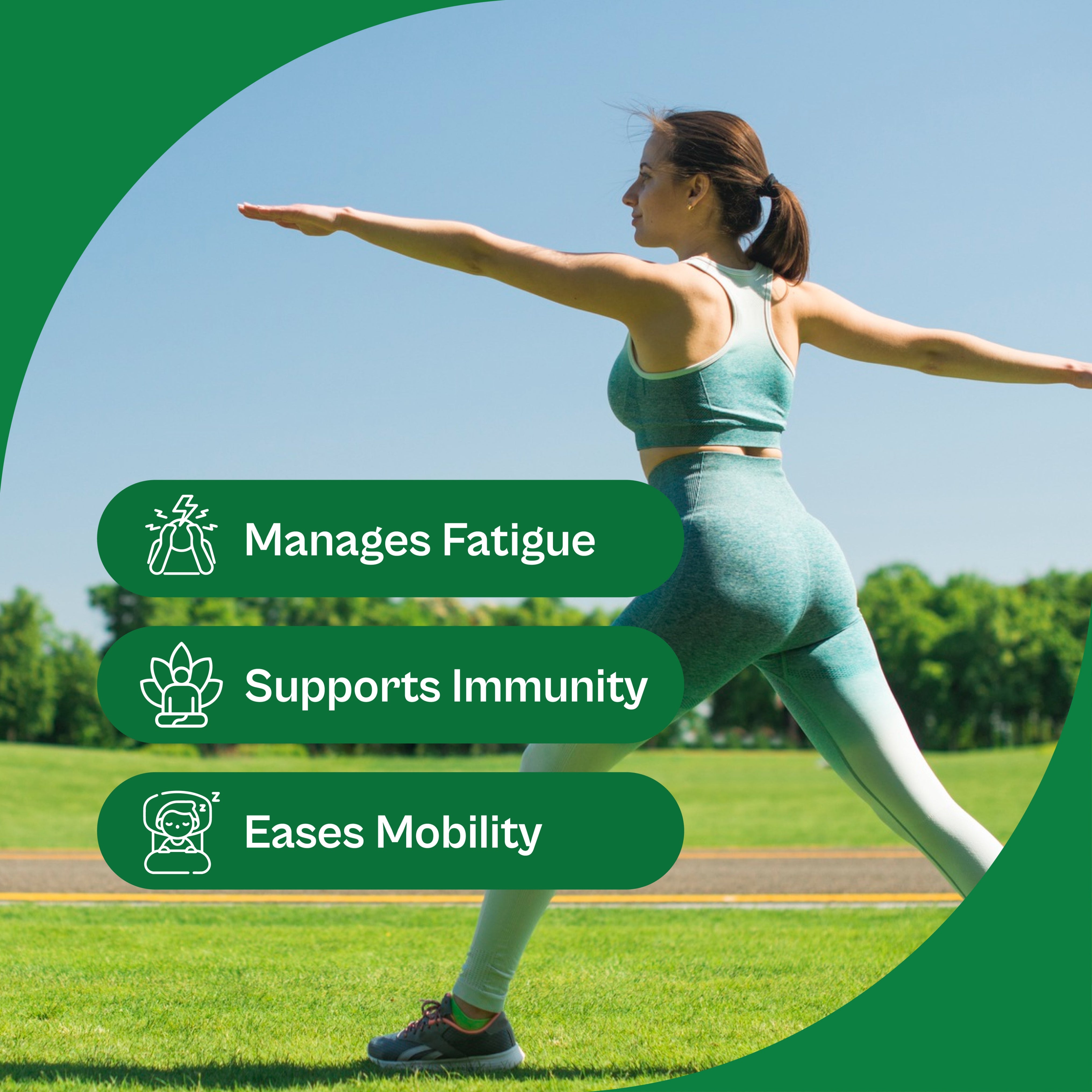 Moringa Tablets – Daily Nutrition for Energy, Immunity & Vitality