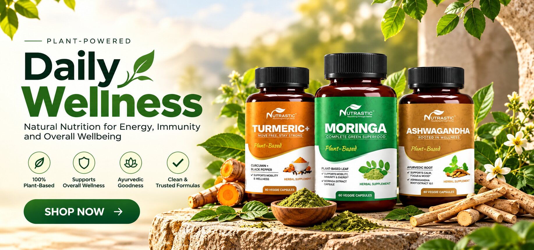 Daily Wellness: Natural Nutrition for Energy, Immunity and Overall Wellbeing
